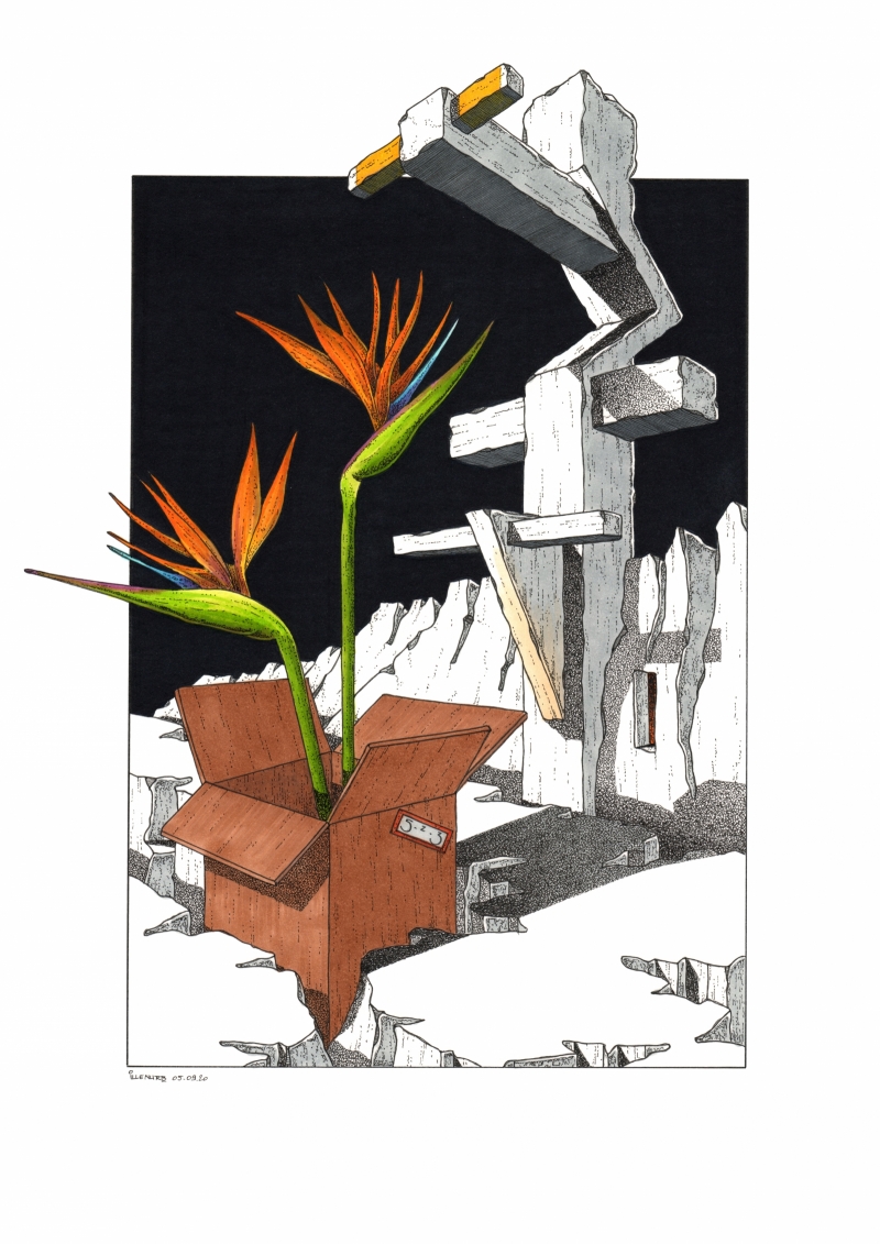 Carton plein #523 par illenurb