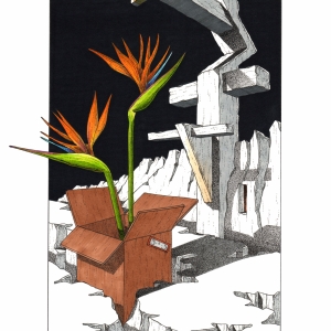 Carton plein #523